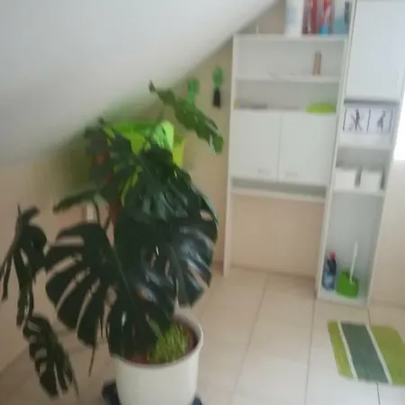 Homestay Privatzimmervermietung Guttich *